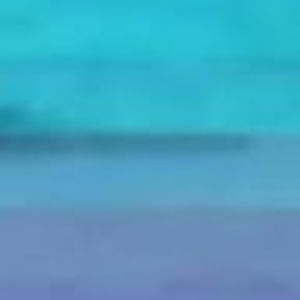 Meet your Posher, Tess